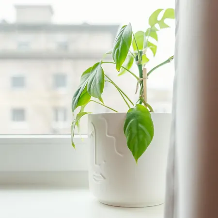 Stylish 1br - Local Market Vibes - Ac - Pool Walk